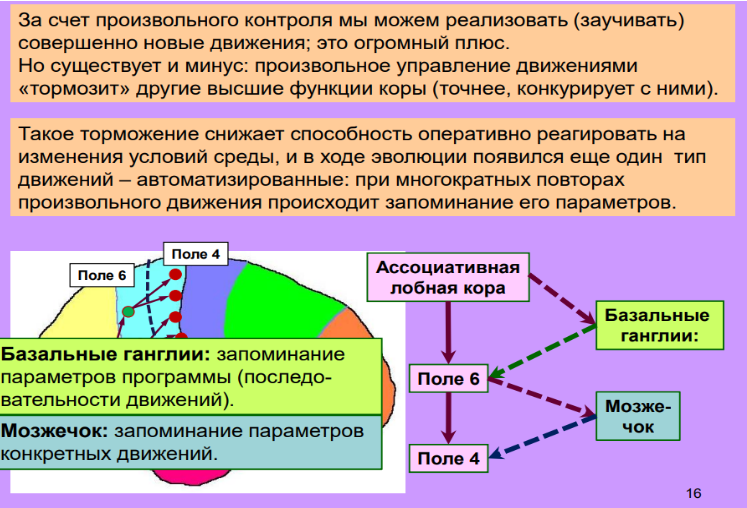 Нейро3.png